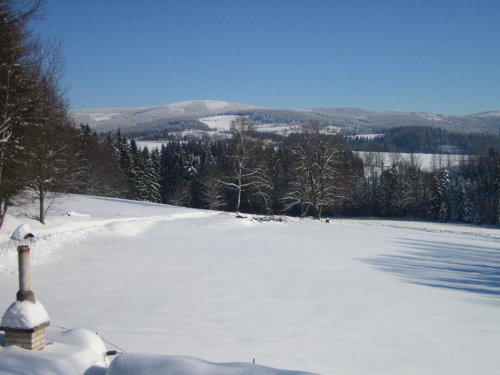 Vila Chalet Lomy Nové Město nad Metují Pokoj fotografie