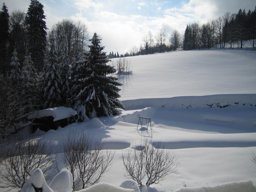 Vila Chalet Lomy Nové Město nad Metují Pokoj fotografie